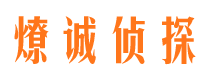 山城市调查公司